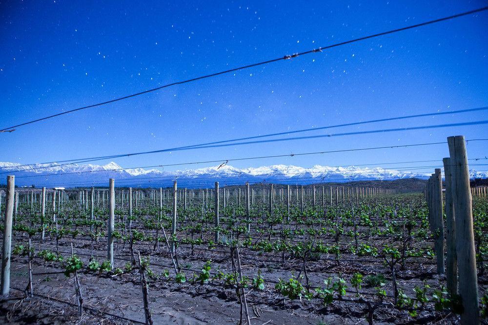 Auberge Du Vin, A Tribute Portfolio Hotel 图蓬加托火山 外观 照片